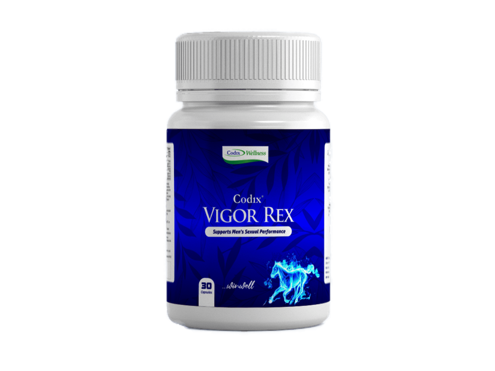 Vigor-Rex Vigor-Rex